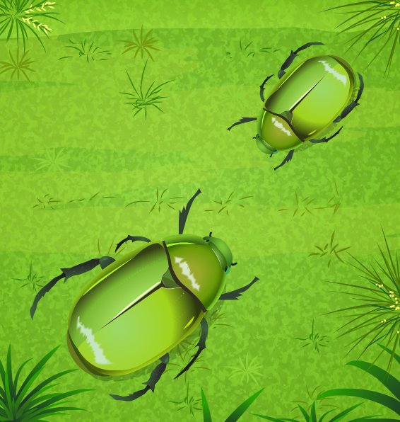 beetle